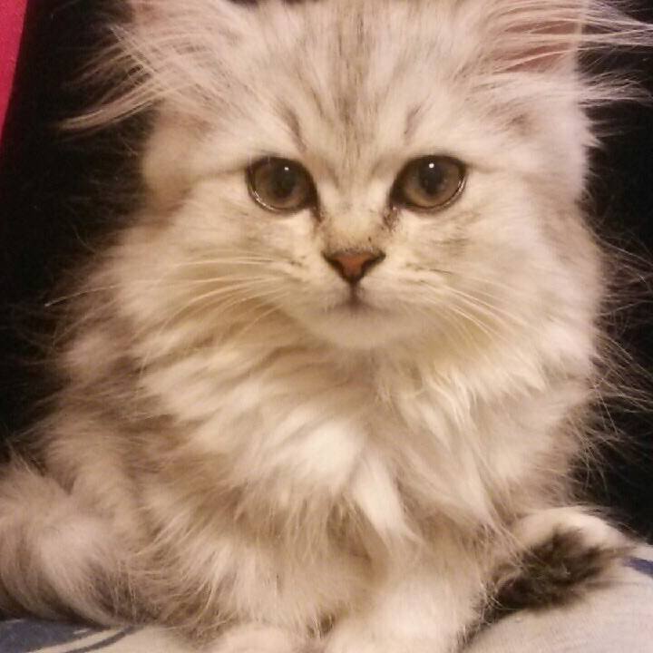 9e21c53a 291e 43f8 af55 96ba3d341e26