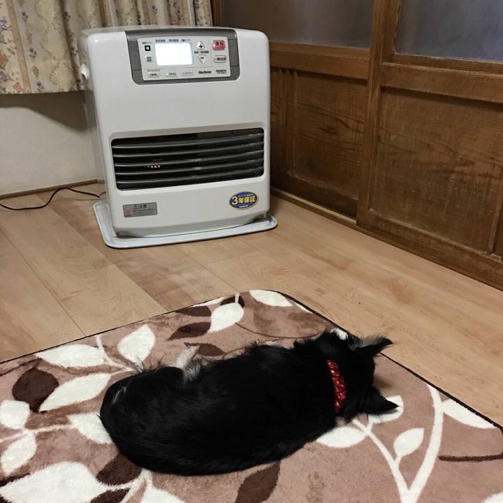 9e226563 b82b 48ac 94c5 6f1a855592b9