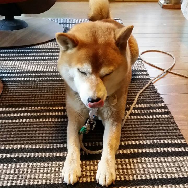 9e22fe4e 7861 43a2 a372 3355b657ec77