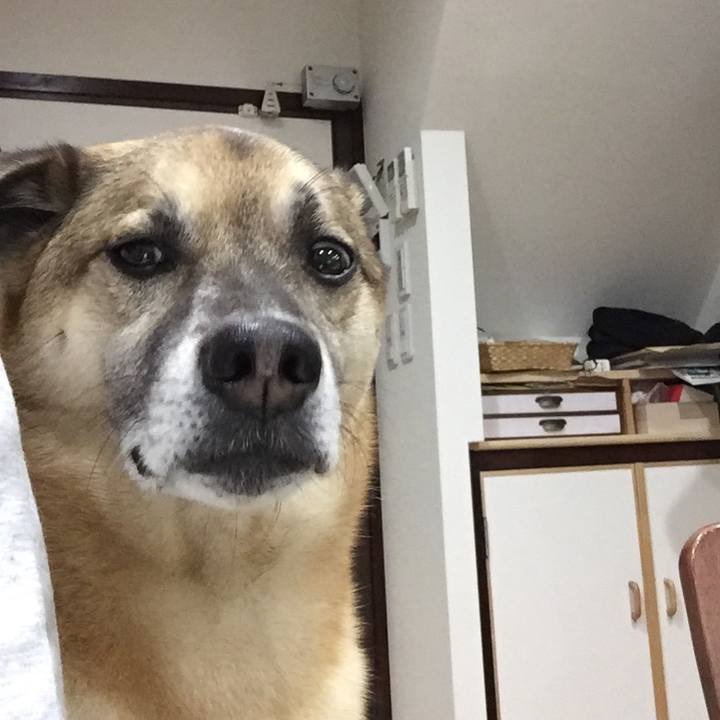 9e23a1ca d767 40b7 831c 4f5f2e048828