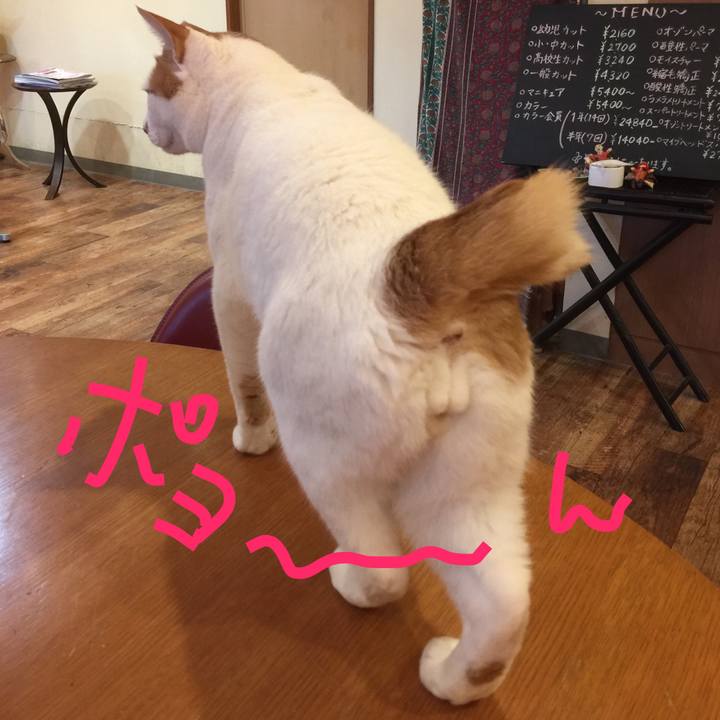 9e23bd12 4bd1 407b 9be7 81b7f6de9b0b