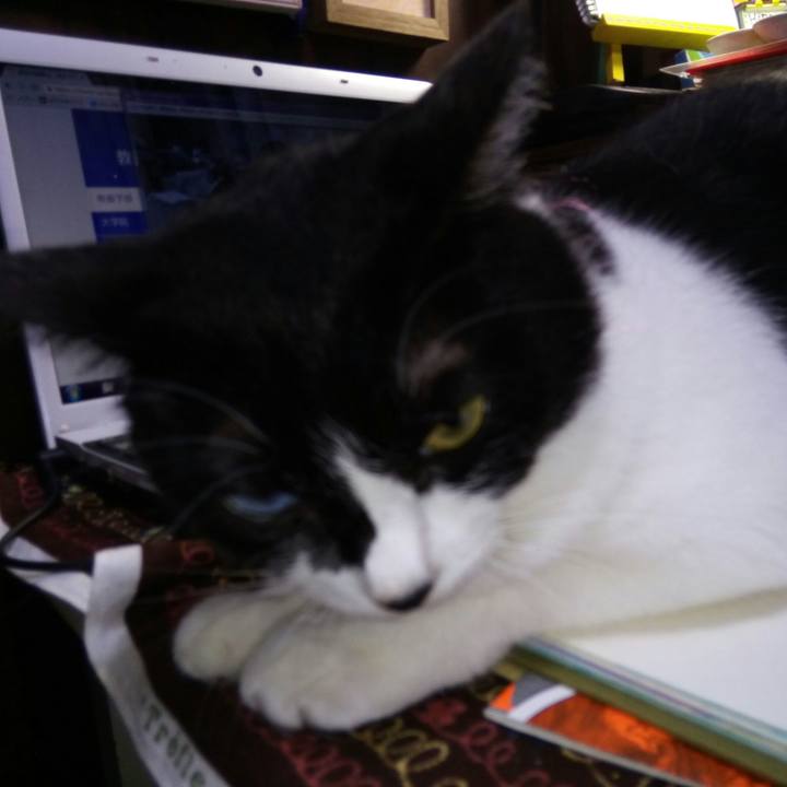 9e23e566 a0bb 4cf3 a862 a82240beb39b