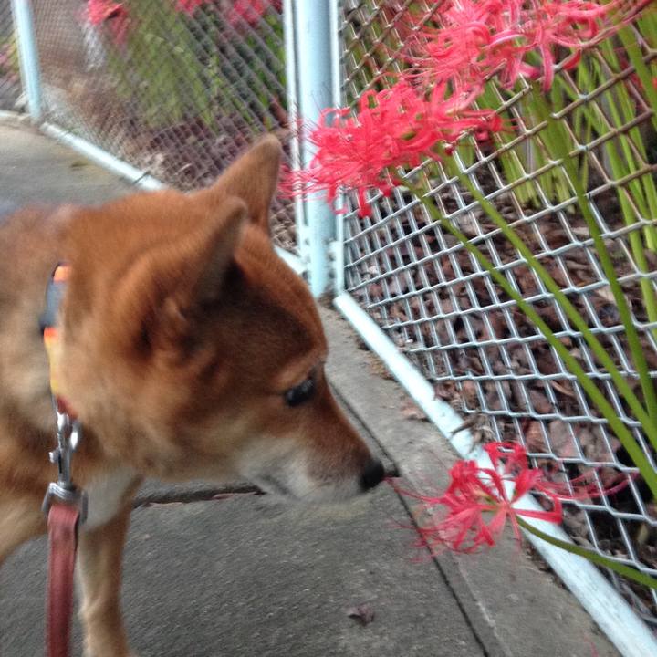 9e23ebb2 eb3e 424a 970b 53ea0a0d6a97