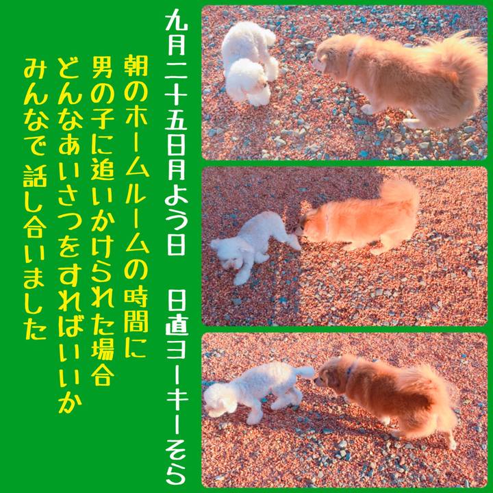 9e247502 9cc5 414d 906a c80e2f30c58a