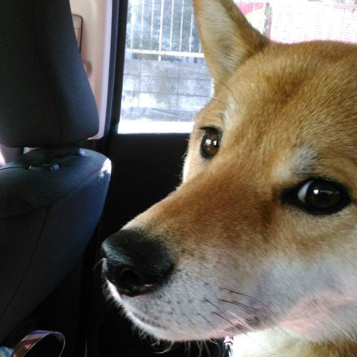 9e247e66 ced3 46ce be6a 443deecee1ad