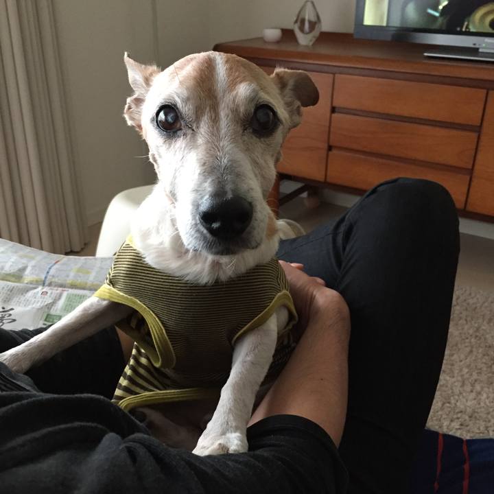 9e2485ec f716 4f88 85ea a2654ee27957