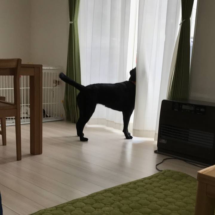 9e24be2a 8932 4a90 96ca ab5c9edeaae6