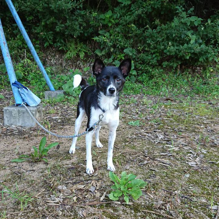 9e24f836 a938 401c 86f8 26e5c90b23b0