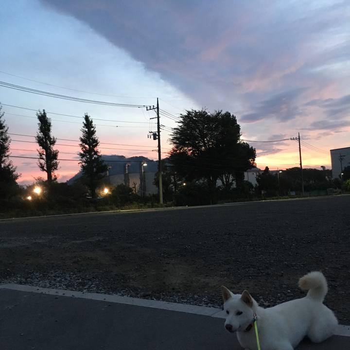 9e256cc3 c594 49cb 8ab0 9a552c58e437