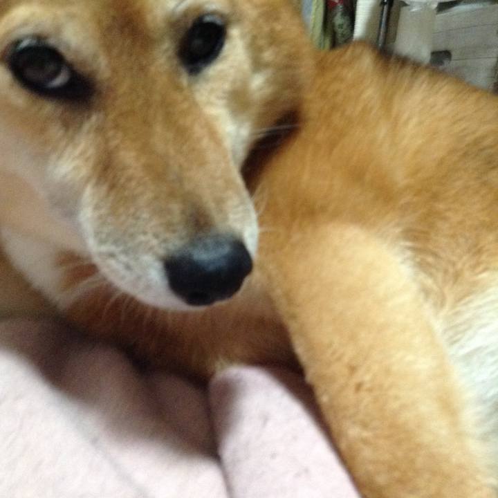 9e257973 04c0 4651 be65 4e67f31d374b