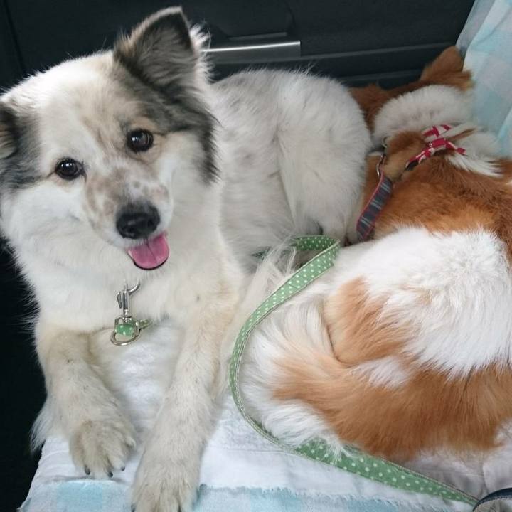 9e25840d 29cf 49cf bfba d1c2d985d9cb