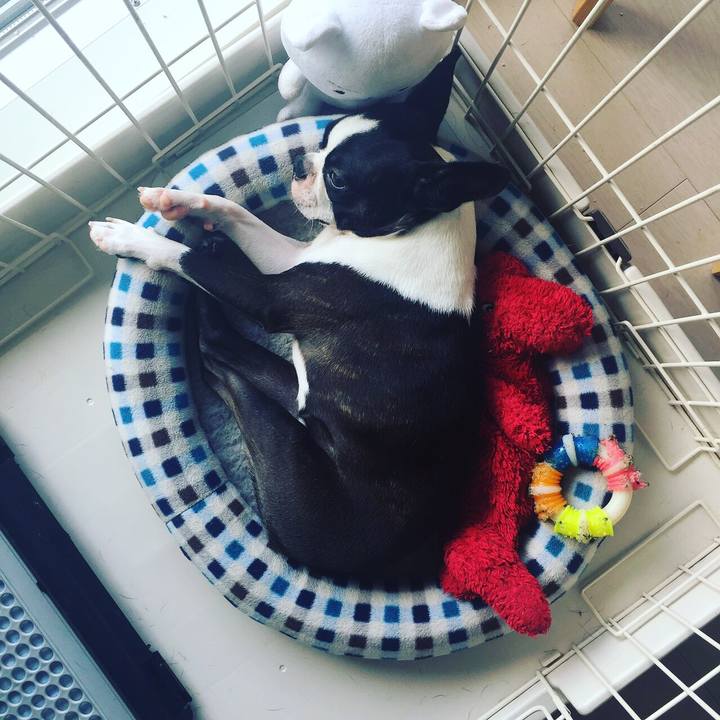 9e264a45 7fc7 41b8 81e6 a96c99754d22