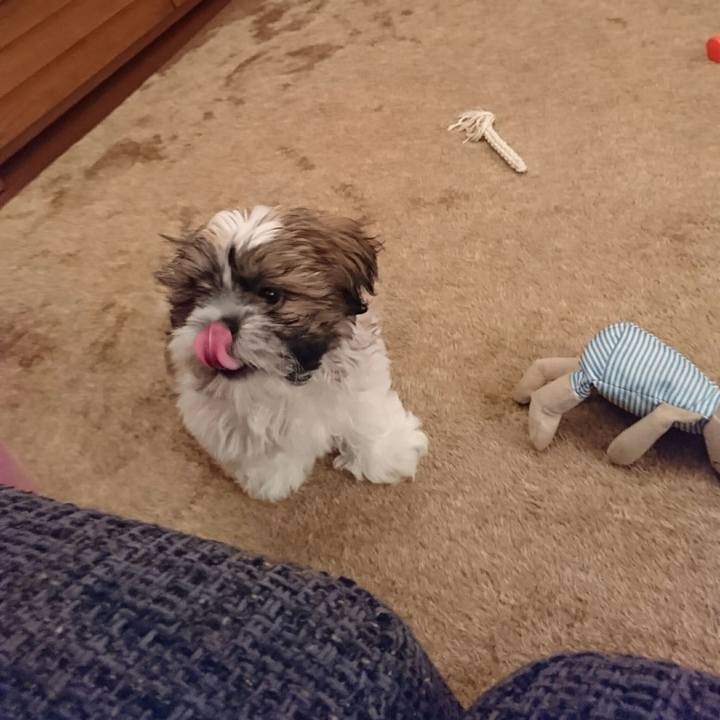 9e26e427 aa3d 48d7 a813 3eaa316ed4f1