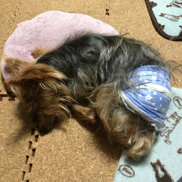 9e2761c4 5038 4217 92b0 3a713e589321