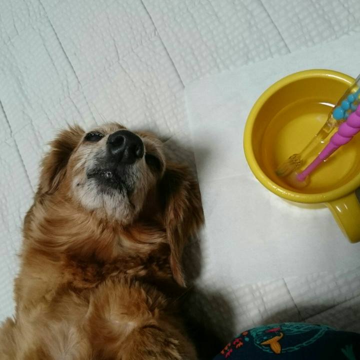 9e277fb4 8d86 4027 bfb4 8fe674dc9d77