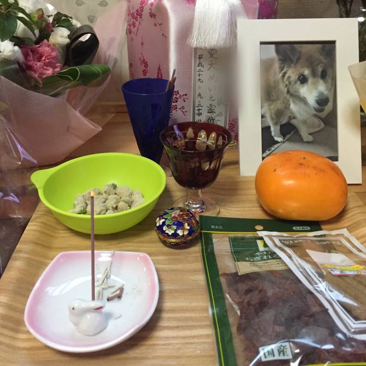 9e28d855 be68 4b57 9c39 76ca9ea0efd8