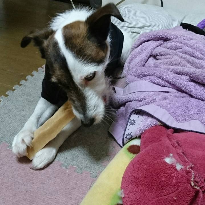 9e28ee55 5fd5 4bc2 a31a 19f3f6496827