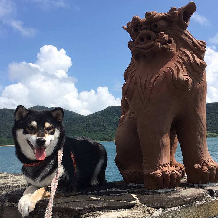 9e295126 9e14 42cb 9de7 8341f2678a52