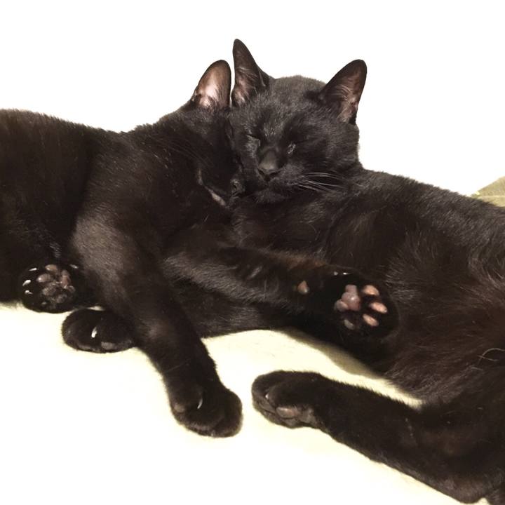 9e29bacc 6bad 494a 9737 c155c0bf0456