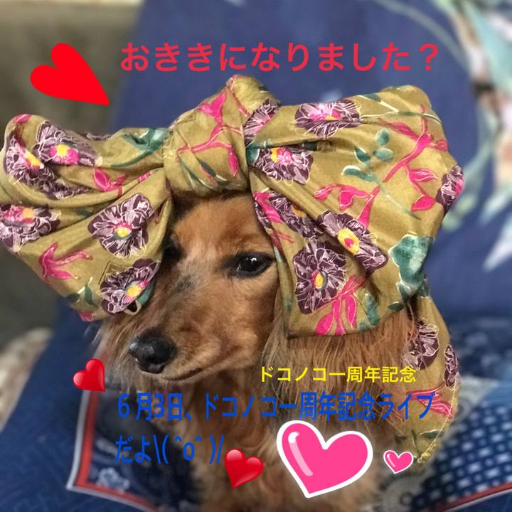 9e2b5509 dafe 4969 8a49 d67787a0345d