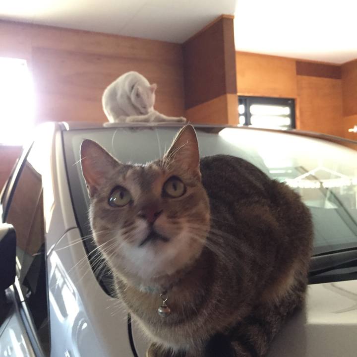 9e2bc490 27fd 48bc b193 c54a35b63390