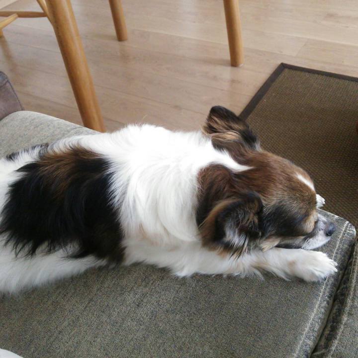 9e2c3531 bd29 4c8b 907c 265363ad960a