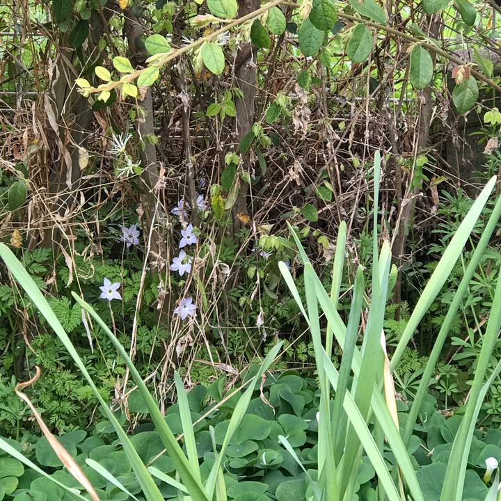 9e2ca007 e2a6 4755 a801 bb23b7dd5d4b