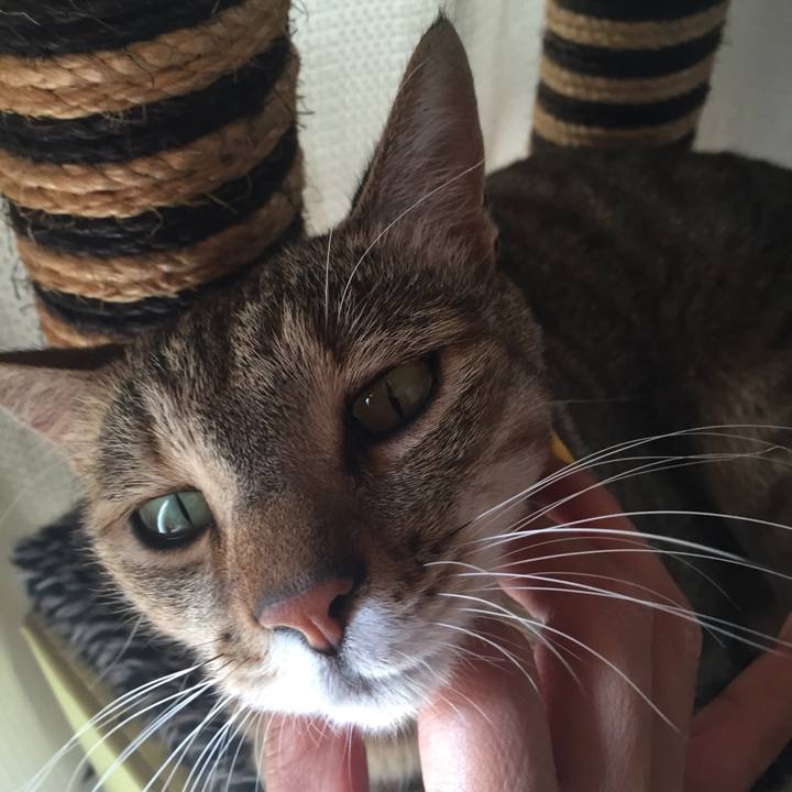 9e2cb430 65b1 48a4 b4a6 f2501e571c85