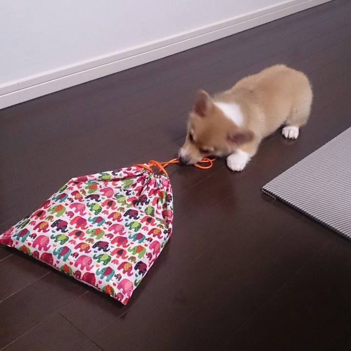 9e2d22a4 3aa3 49ae 8f7a ddce61f942ce