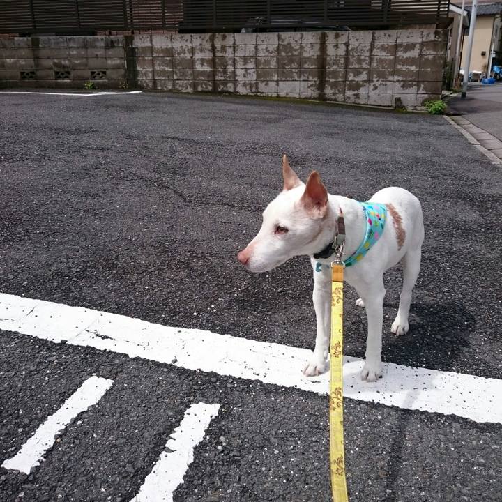 9e2d266e 349b 423d abc0 b2dfe56ae353