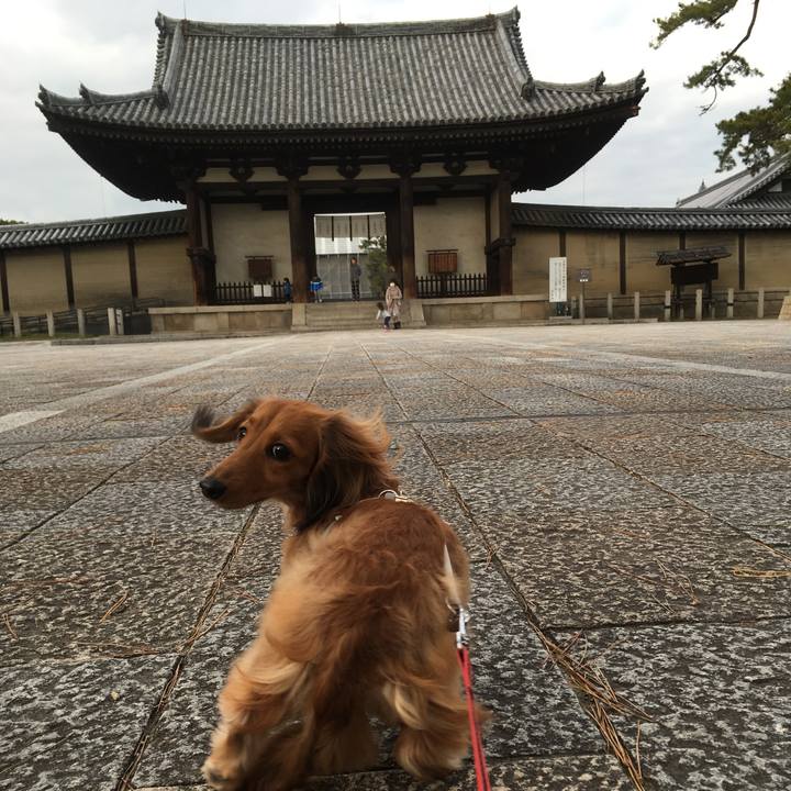 9e2d9fda 56d3 4228 bb3a a174b2b3c641