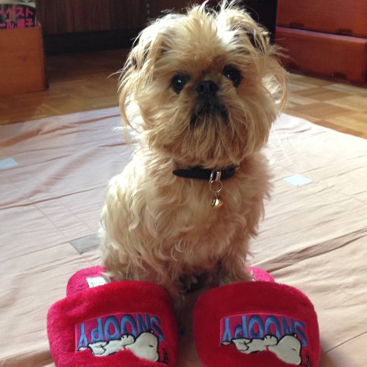 9e2db797 4731 4d02 86a8 62b4b577e334