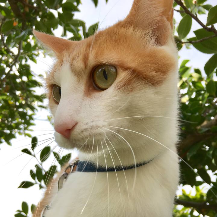 9e2defab 2ef5 4818 a1ac 1f8a2e28413d