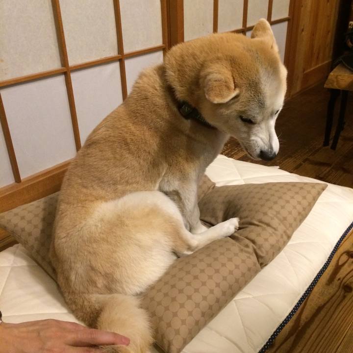 9e2e8594 6eef 48c5 859c 06dd2f596277