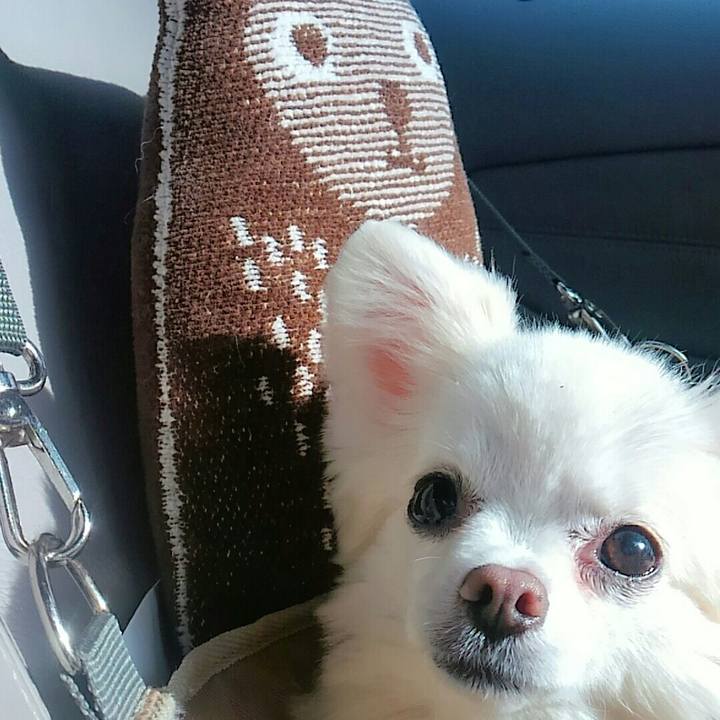 9e2f78bc 4175 4985 9e8c f95e50162535