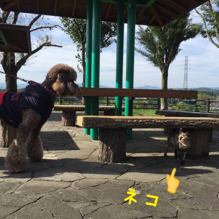 9e3180c4 d77f 4676 b682 d3bbf8bf1368