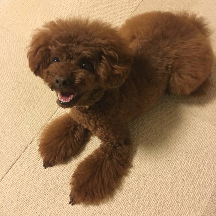 9e31945f 0517 48d9 8508 276490533a77