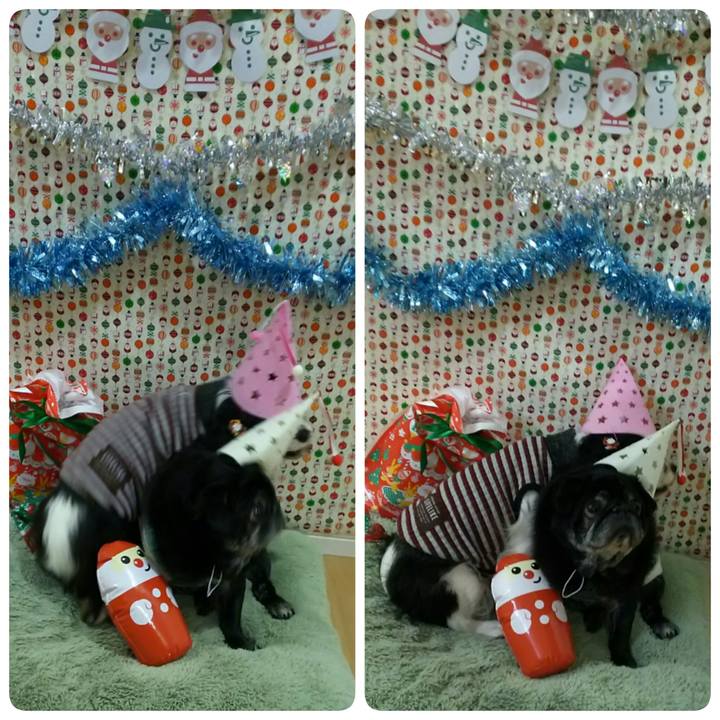 9e3235ee 45ec 4680 a1a9 e3ee11480e8d