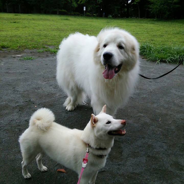 9e326091 630c 4a58 bae8 90accc9caf21