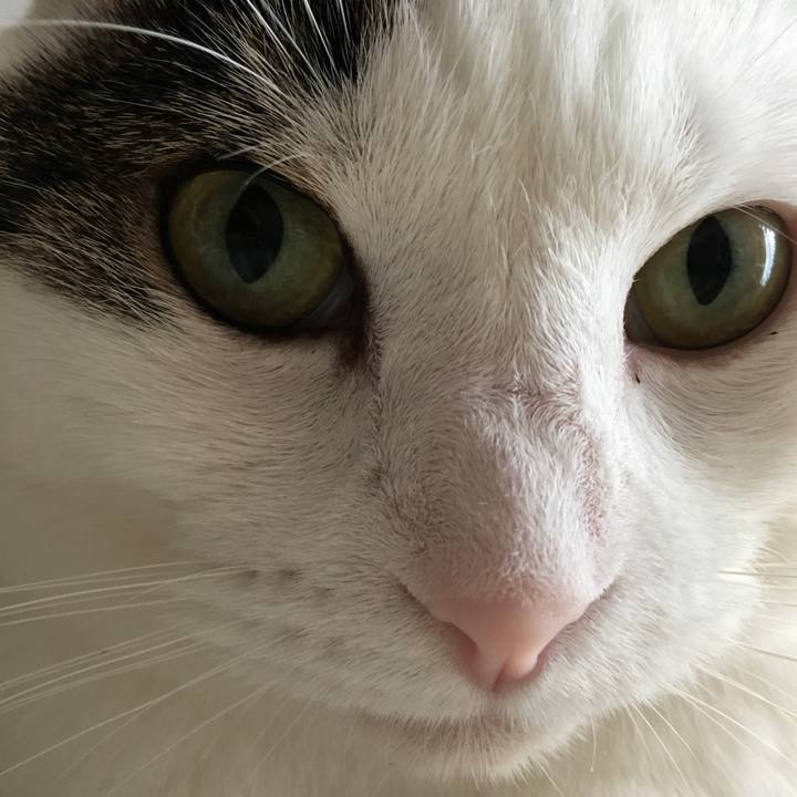 9e327b37 a44c 46a8 a3e6 94d11e0d16b7