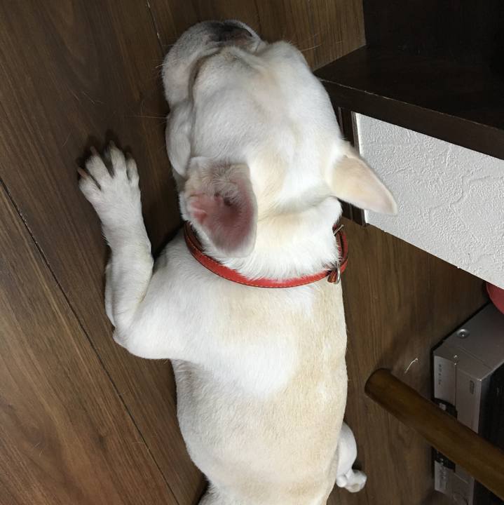 9e32bc8b 91ec 42a3 b91b 6449fa46a27b