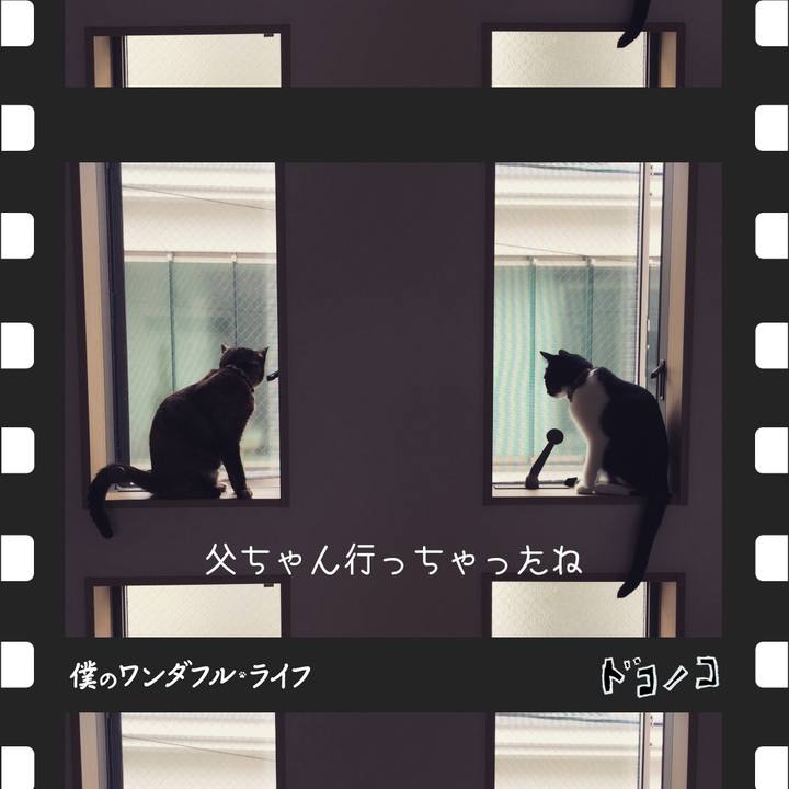 9e32bd67 838c 45bf 9876 5732fcd4ff6a