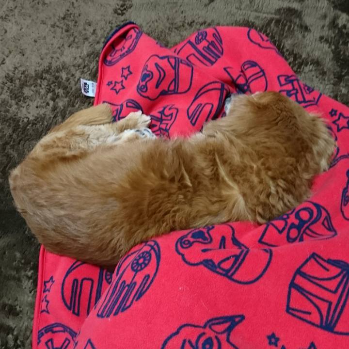 9e335bef 2ad6 4241 b4ad 76030679bb16