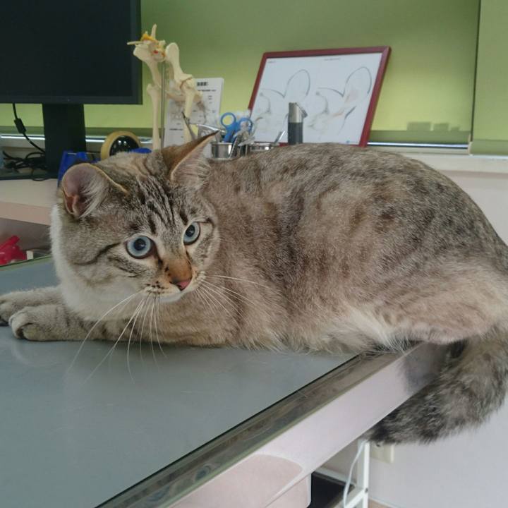 9e3362c2 9e89 4a19 a11a cf8725996552