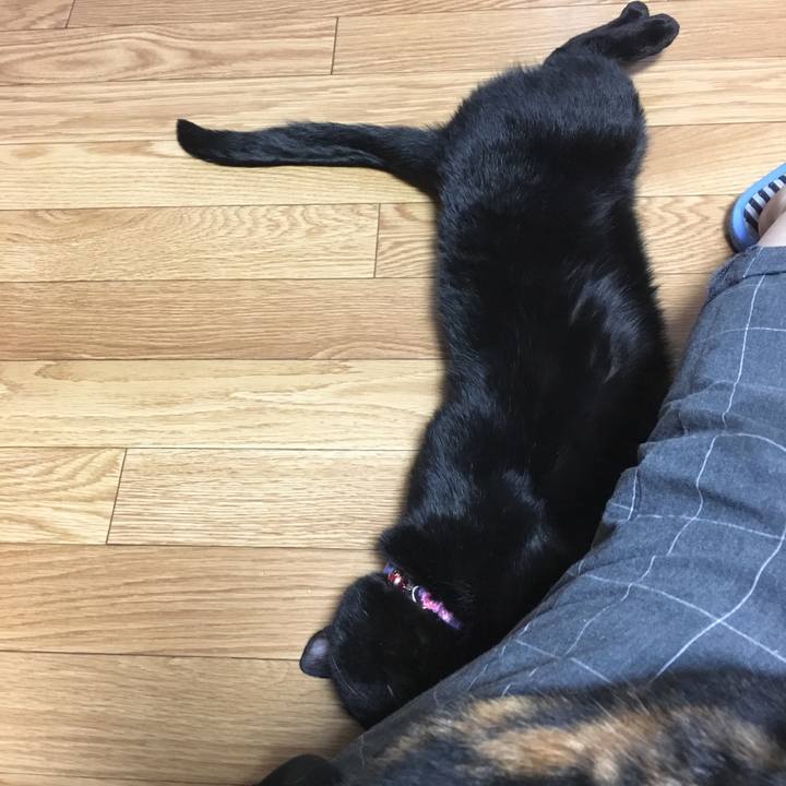 9e33651c a7ea 4202 b634 7d4863e12d4a