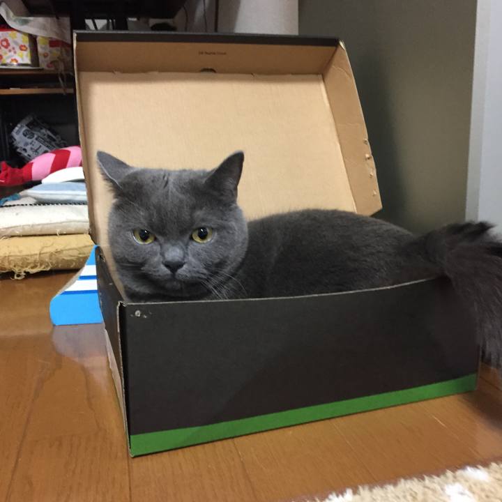 9e33691c 9880 4def a4f6 ff2ca48d4835