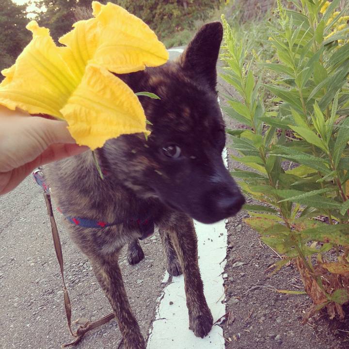 9e34511a 0da1 45d6 9d59 6ce900500501