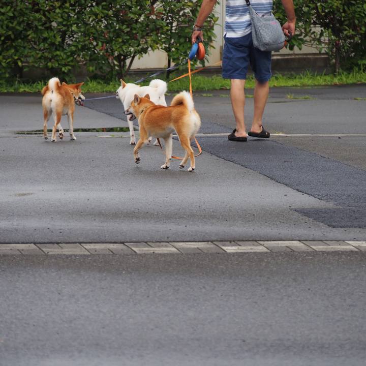 9e346cbe eb89 448c 9271 80d48f86ad78