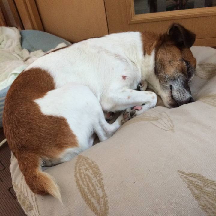 9e347d58 9674 4043 a9fa 0204242d2790