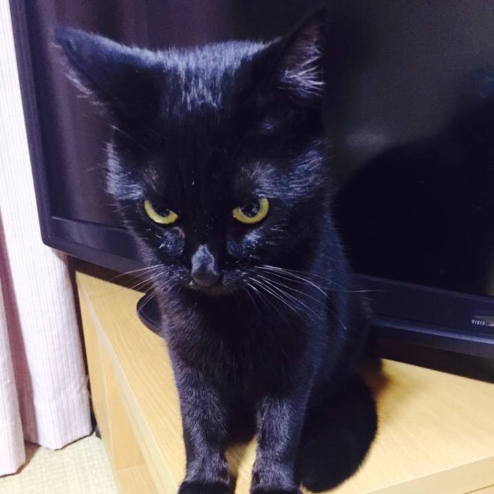 9e3494ac d263 44c7 abe8 241bd1bf1458